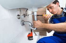 Best Commercial Plumbing Services  in Carson, WA